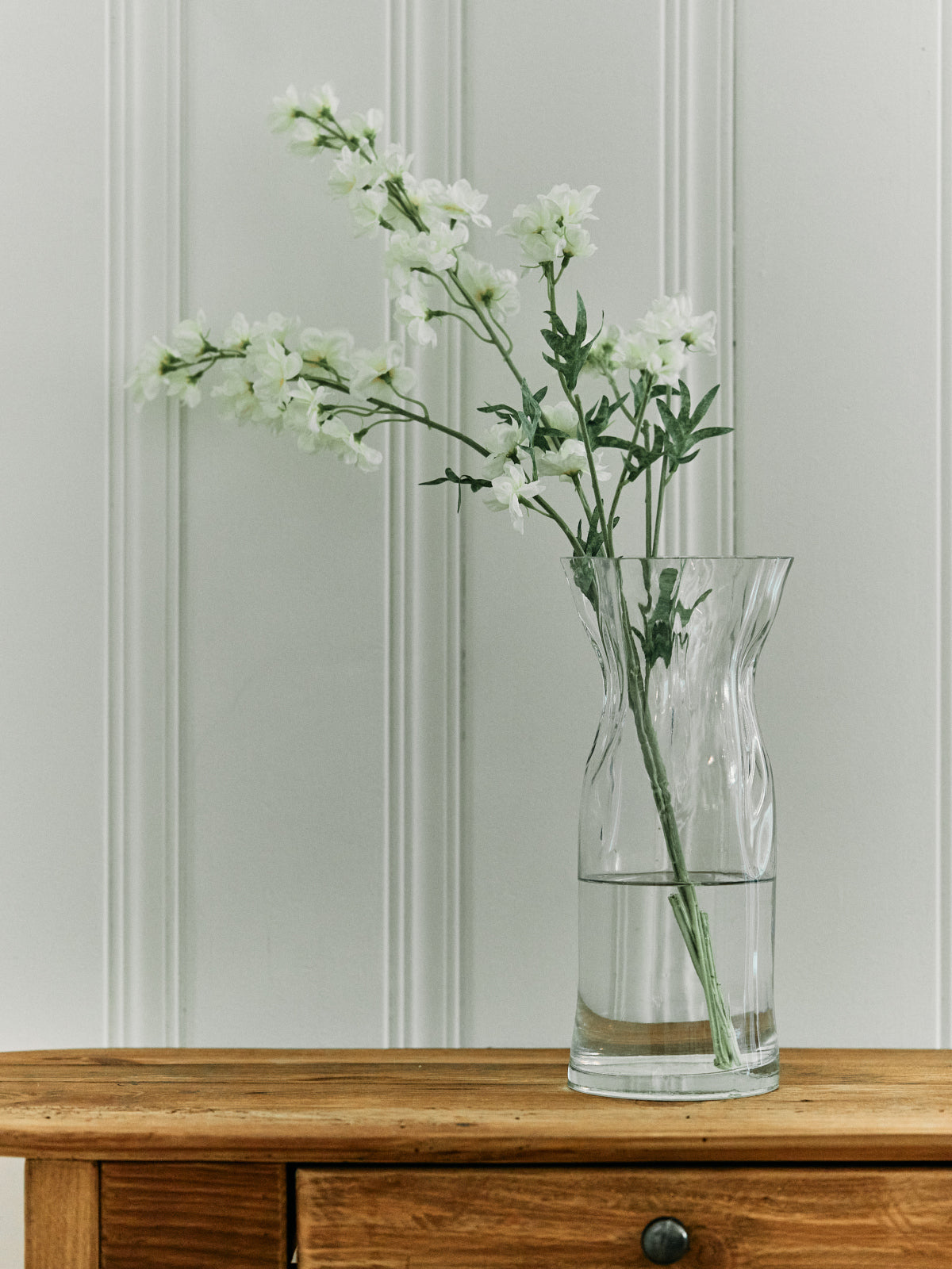 Tige de Larkspur