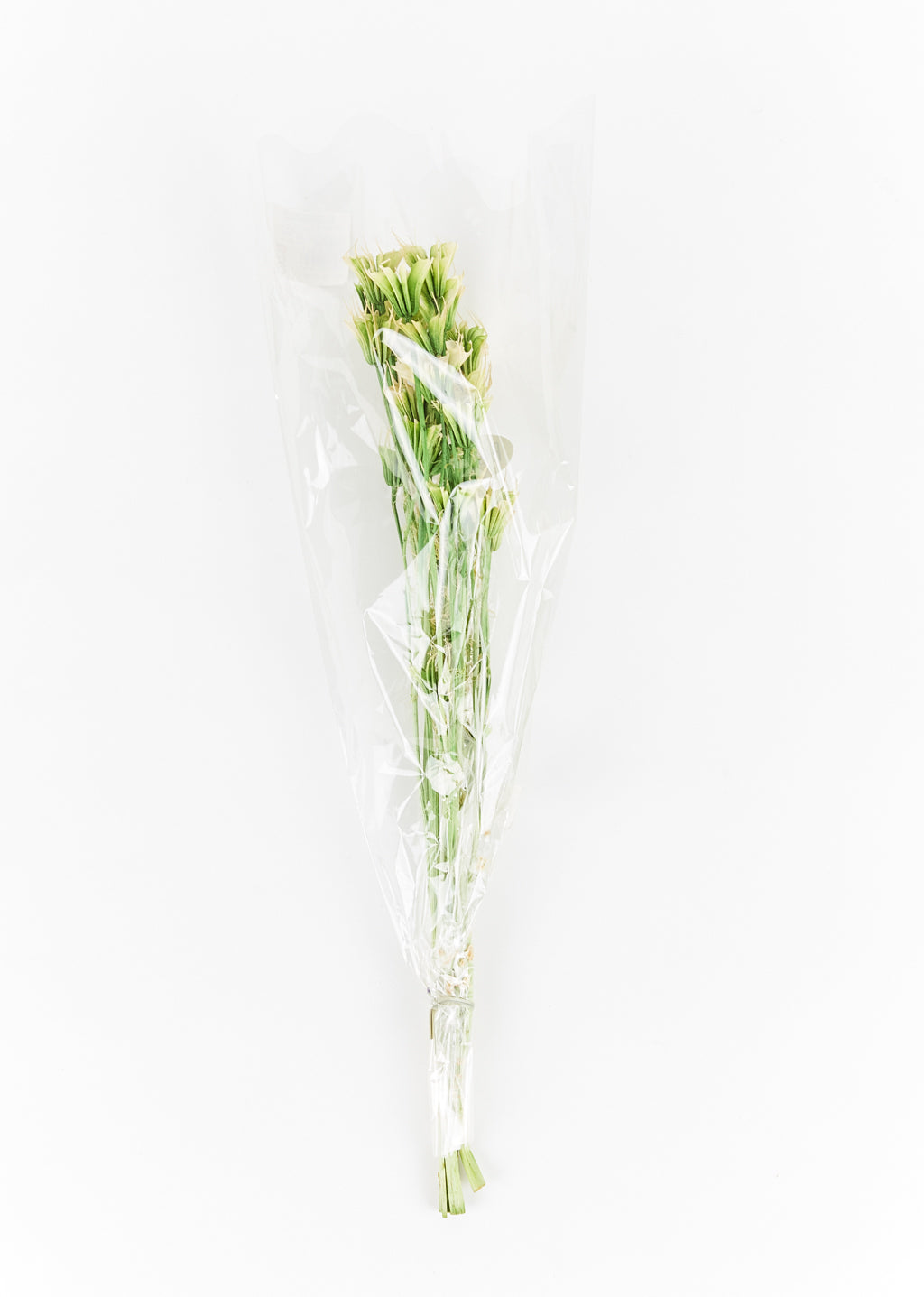 Nigelle orientale séchée