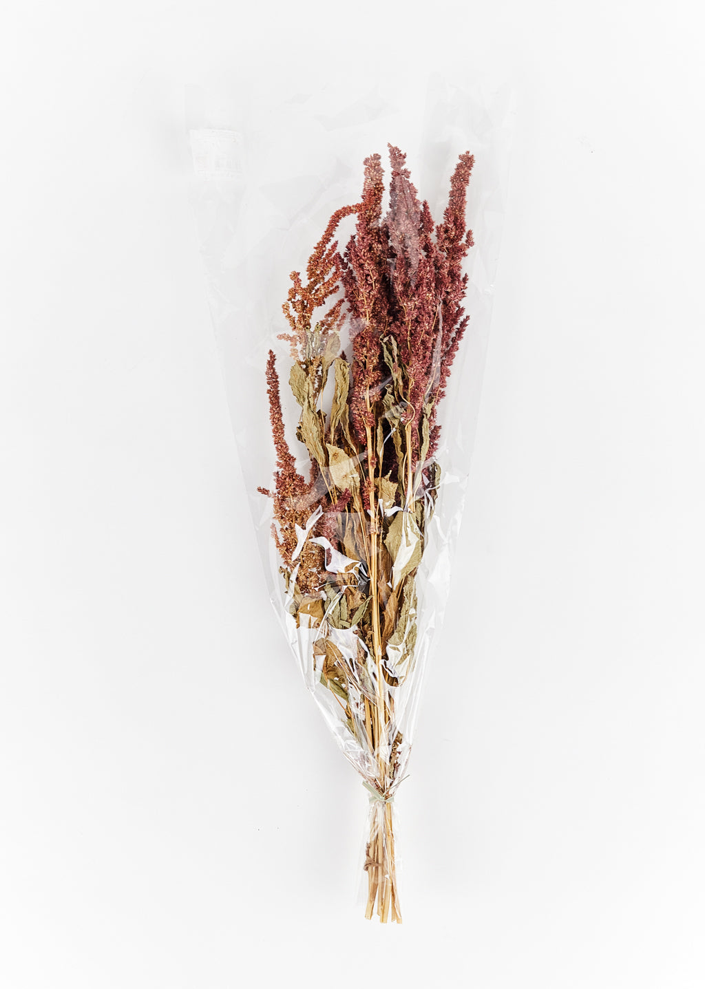 Preserved Amaranthus